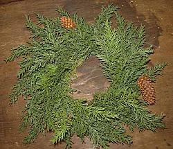 CT495 4" Prickly Pine Cedar Ring