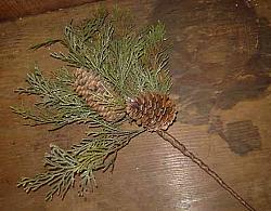 CT496 Pine With Cones Pick